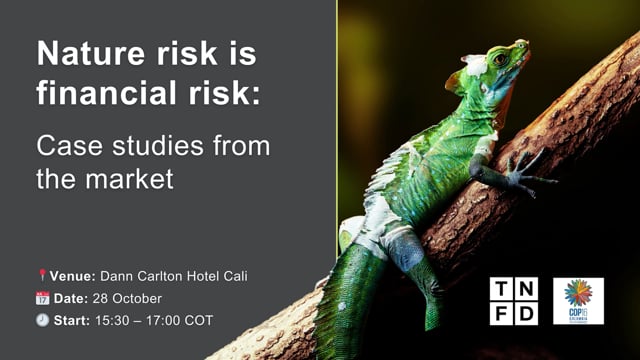 Nature Reputational Risk TNFD nature-related risk and opportunity registers – TNFD