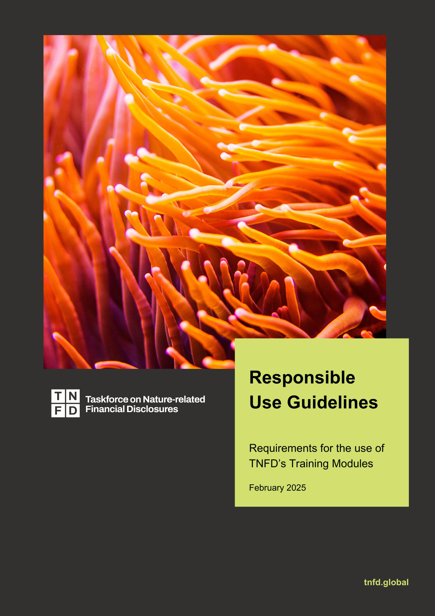 Responsible Use Guidelines – TNFD