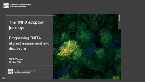 The Tnfd Adoption Journey: Progressing Tnfd Aligned Assessment And Disclosure