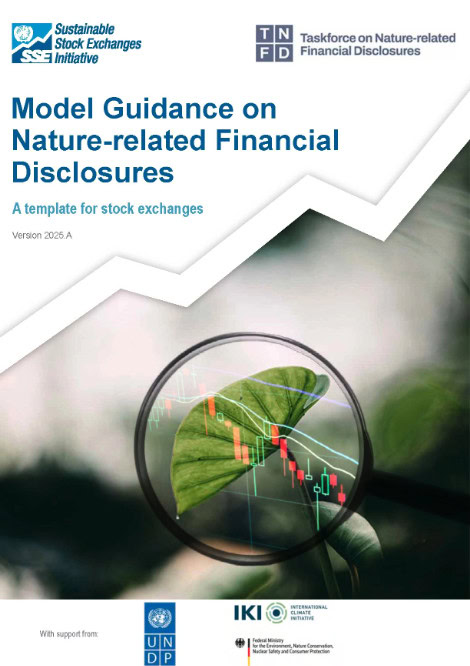 SSE Model Guidance