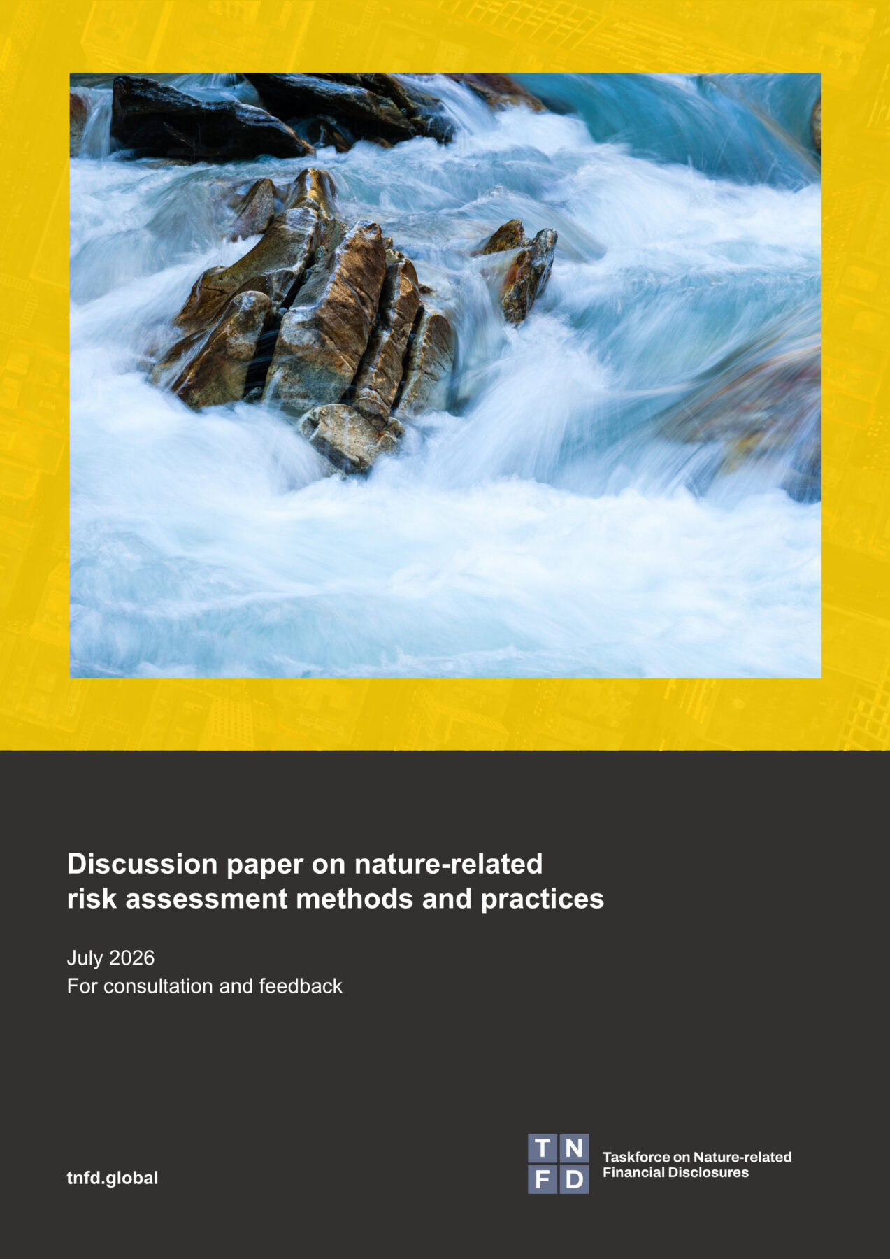Discussion paper on nature-related risk assessment methods and ...